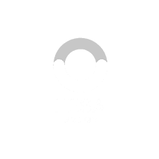 Logo - Fesa 4
